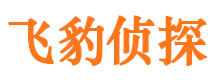 东海岛私家侦探公司